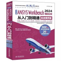 İANSYS Workbench 2024ԪTͨ